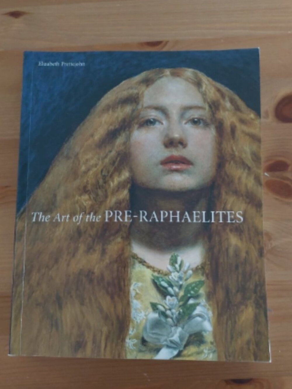 The Art of the Pre-Raphaelites Elizabeth Prettejohn Paperback Tate Museum book